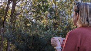 Ann Lund tea ceremony